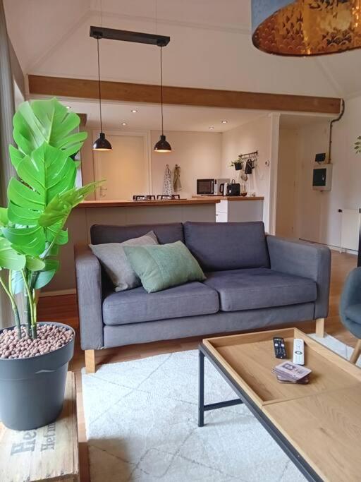 Ruim Huisje Op Een Prachtige Plek Hemrik ภายนอก รูปภาพ