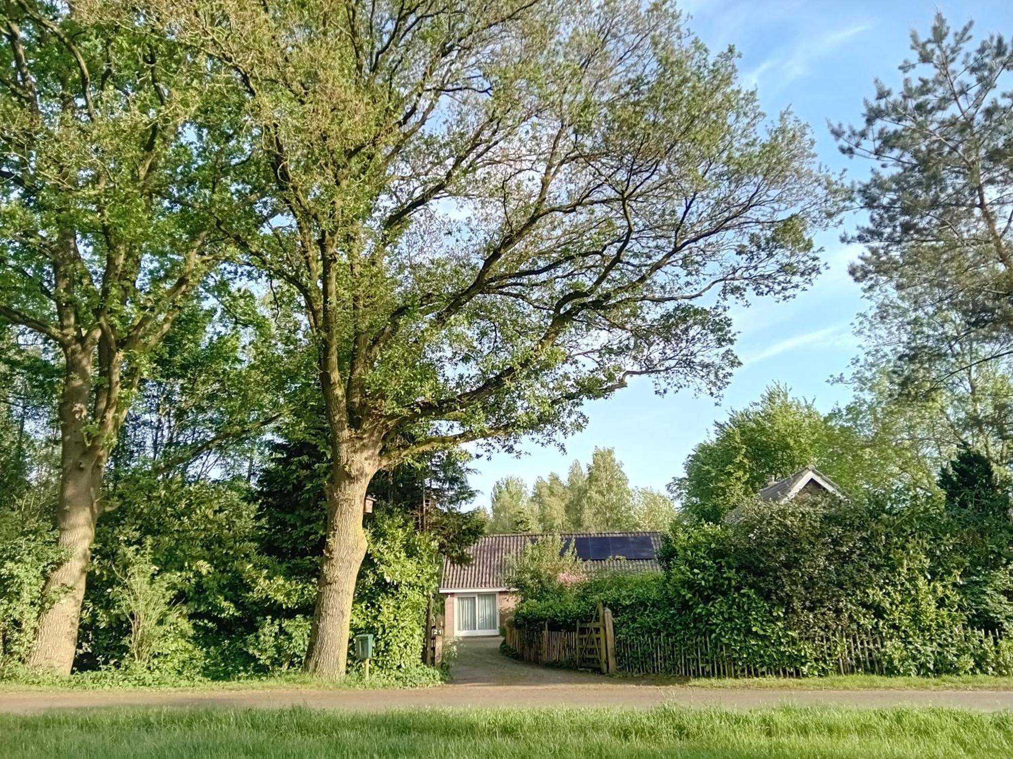 Ruim Huisje Op Een Prachtige Plek Hemrik ภายนอก รูปภาพ