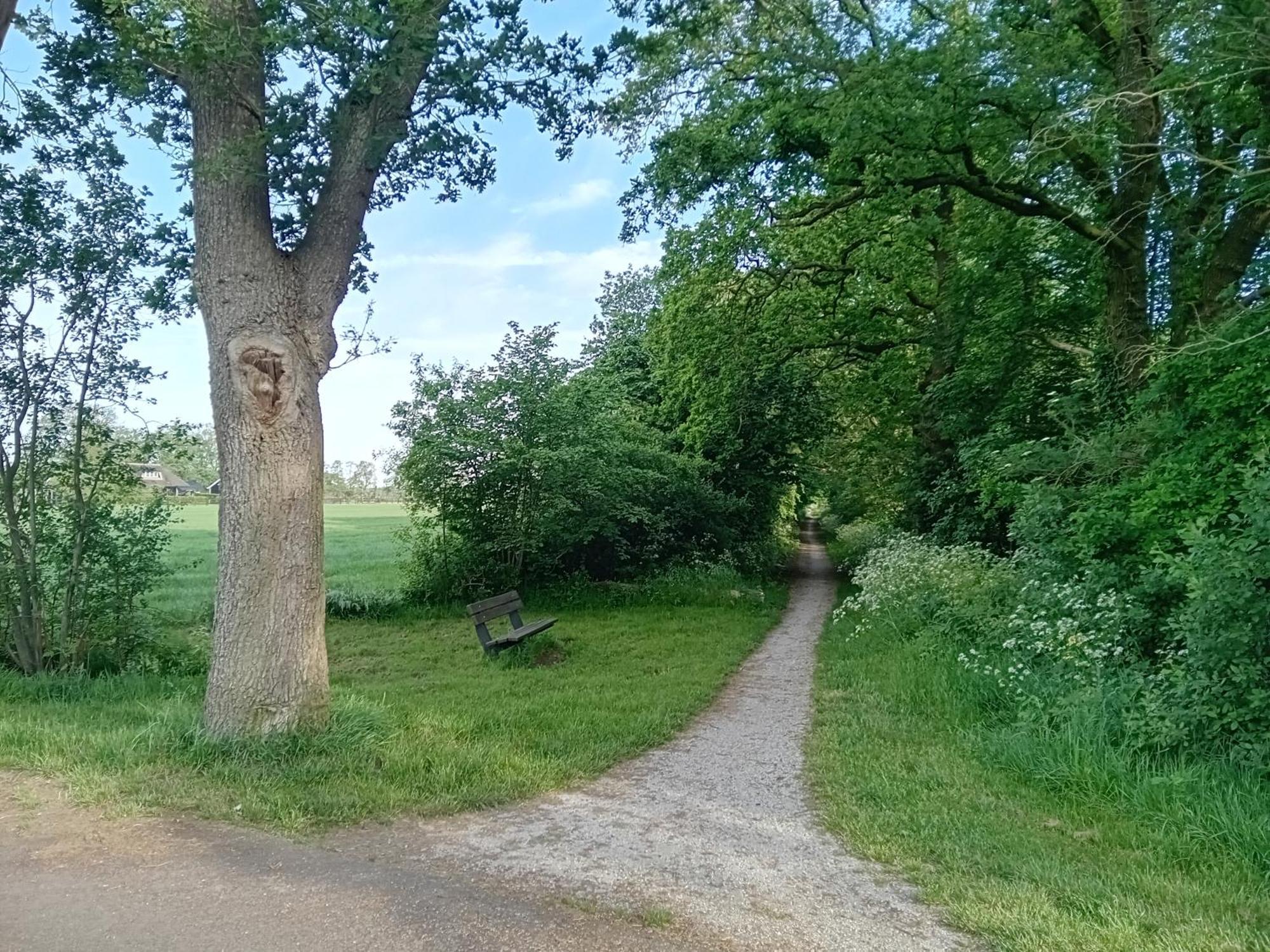 Ruim Huisje Op Een Prachtige Plek Hemrik ภายนอก รูปภาพ