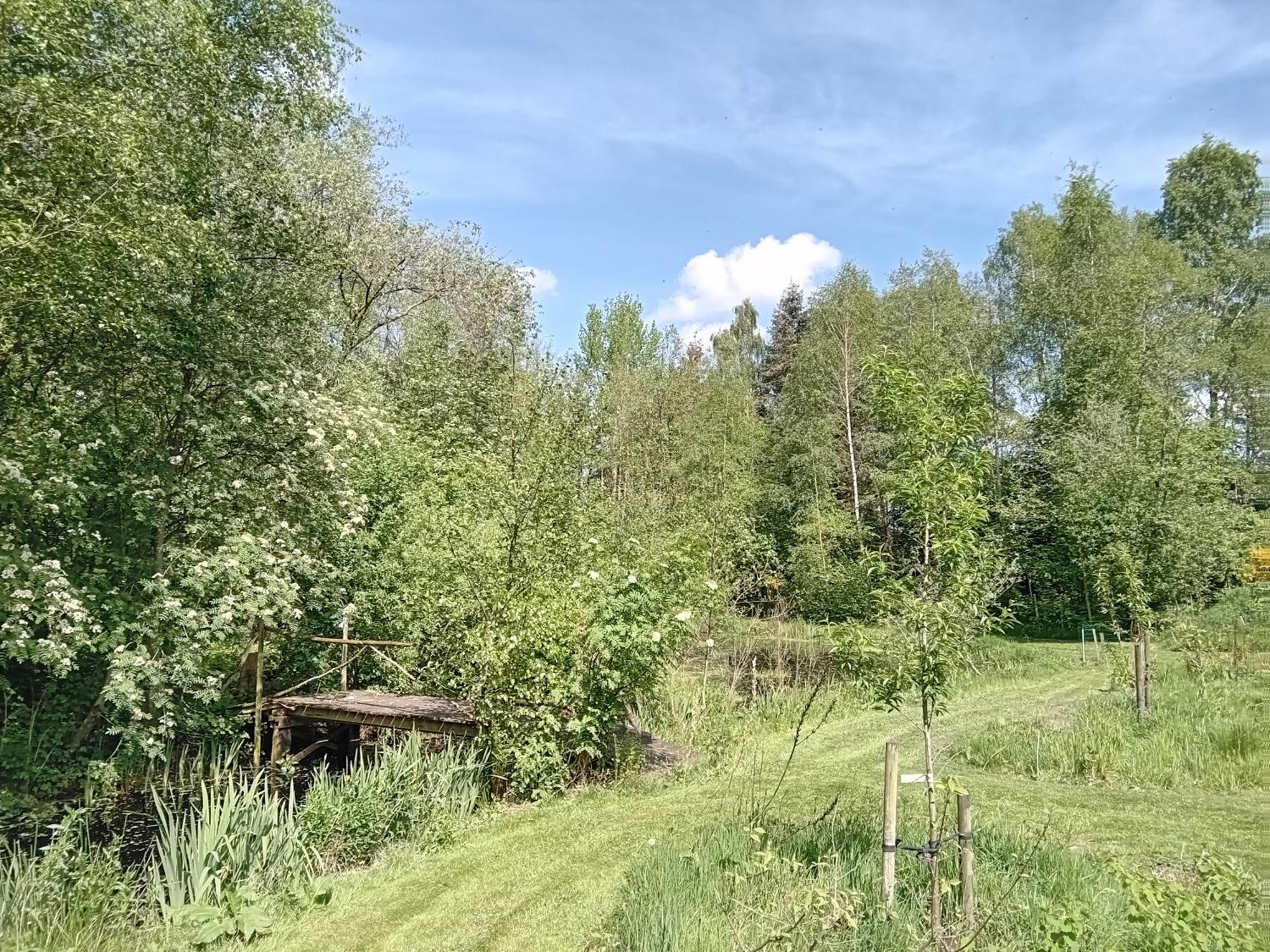 Ruim Huisje Op Een Prachtige Plek Hemrik ภายนอก รูปภาพ